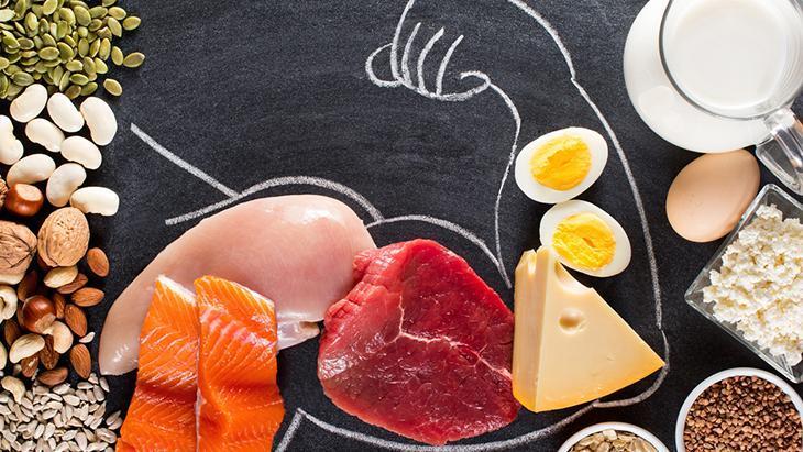 Yeterli Protein Alımı